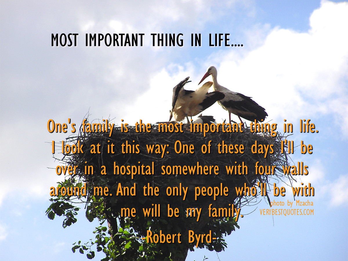 Important Things In Life Quotes
 Things In Life Quotes QuotesGram