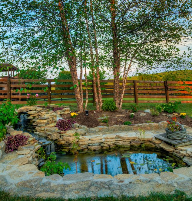 In The Backyard
 The Most Fanciful Backyard Water Features Ideas