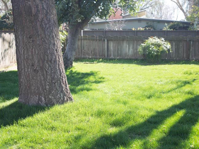In The Backyard
 Outdoor Spring Cleaning 7 Ways To Make Your Yard Safe