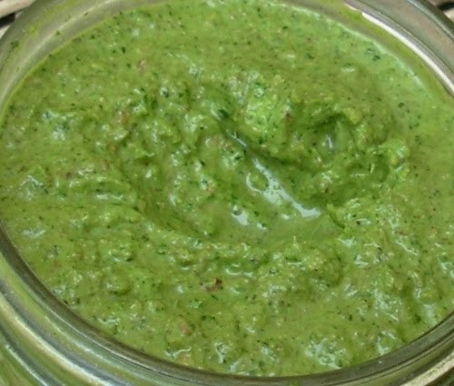 Indian Sauce Recipes
 From Kirsten s Kitchen to Yours Coriander Chutney Best
