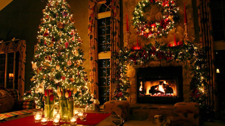 Indoor Christmas Tree
 Best Christmas Indoor Tree Lights A Very Cozy Home