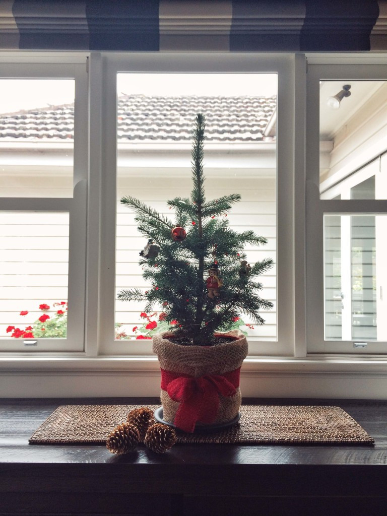 Indoor Christmas Tree
 How Winter Indoor Plants Bring Joy and Promote Wellness