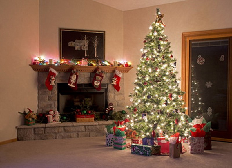 Indoor Christmas Tree
 8x10ft 2 5x3m Indoor christmas tree with Shining light