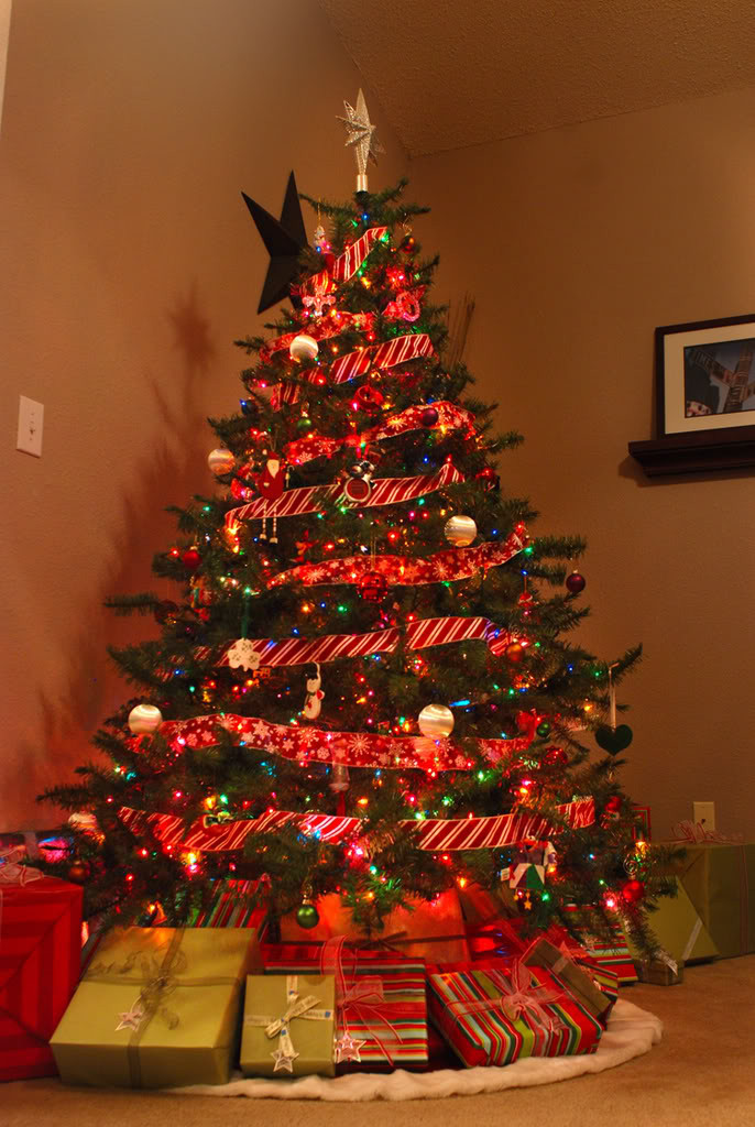Indoor Christmas Tree
 your indoor Christmas trees