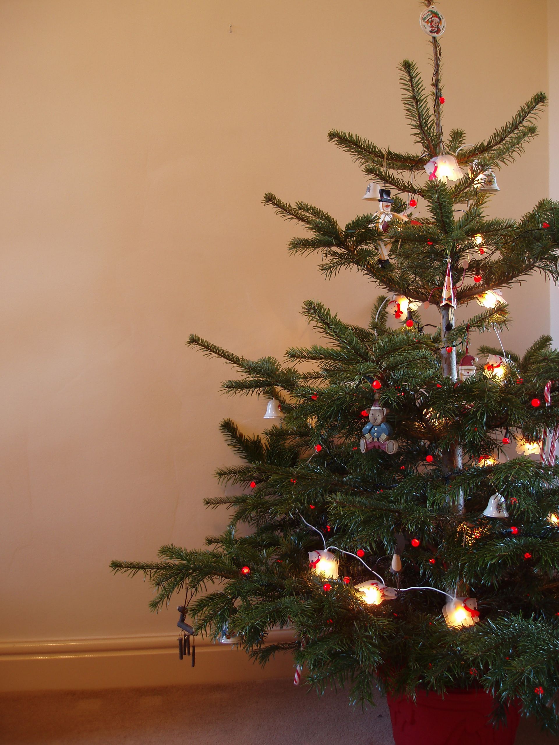 Indoor Christmas Tree
 of traditional christmas tree