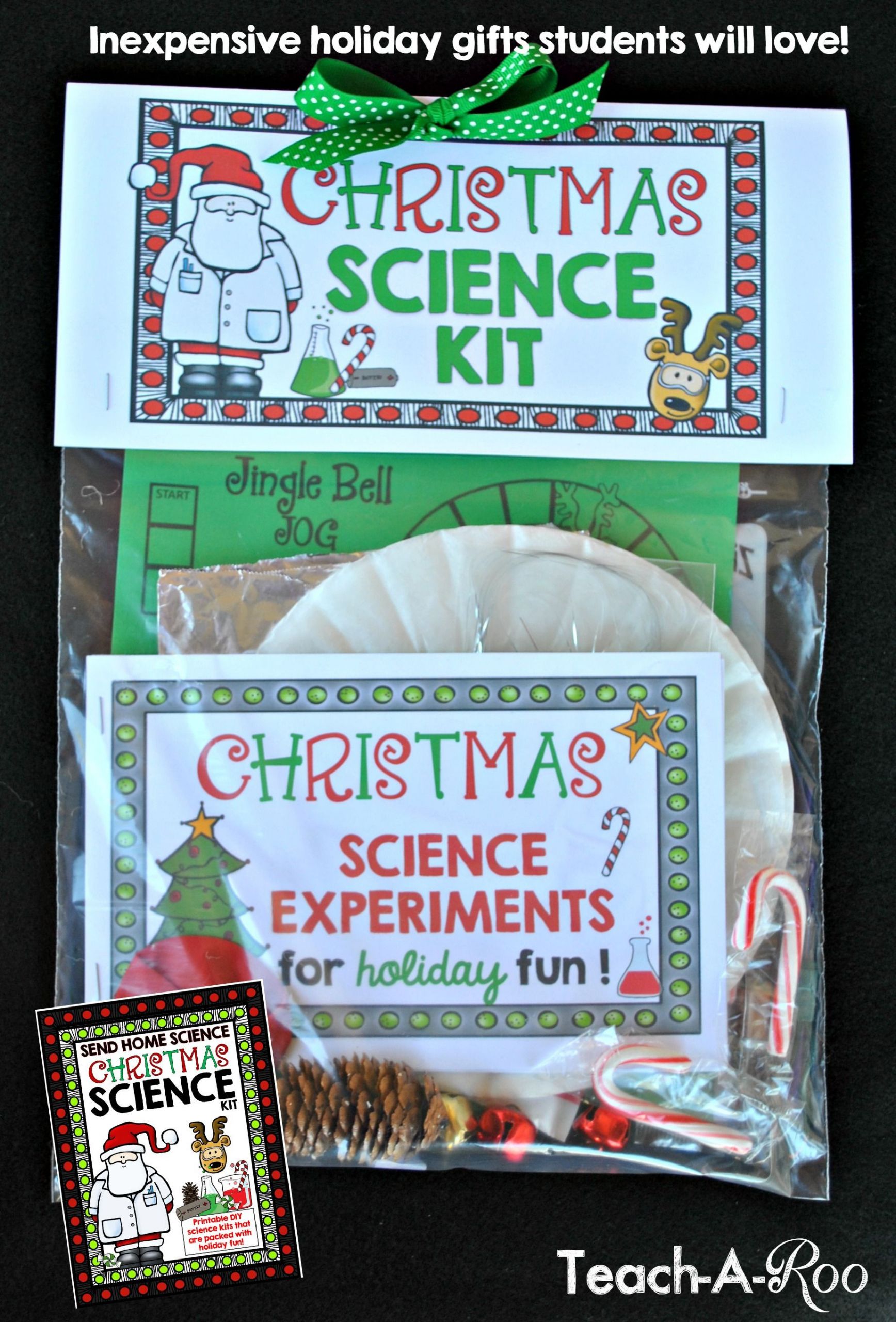 Inexpensive Gift Ideas For Kids
 These make such unique and inexpensive holiday ts for