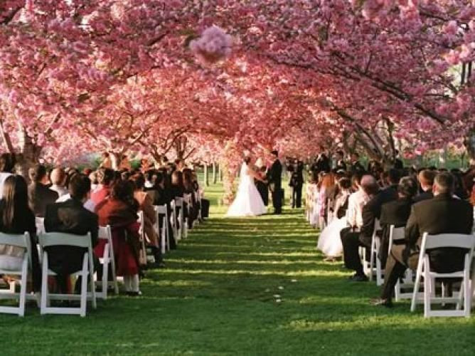 Inexpensive Outdoor Wedding Venues
 Bride on a Bud 20 Free or Cheap Places to Get Married