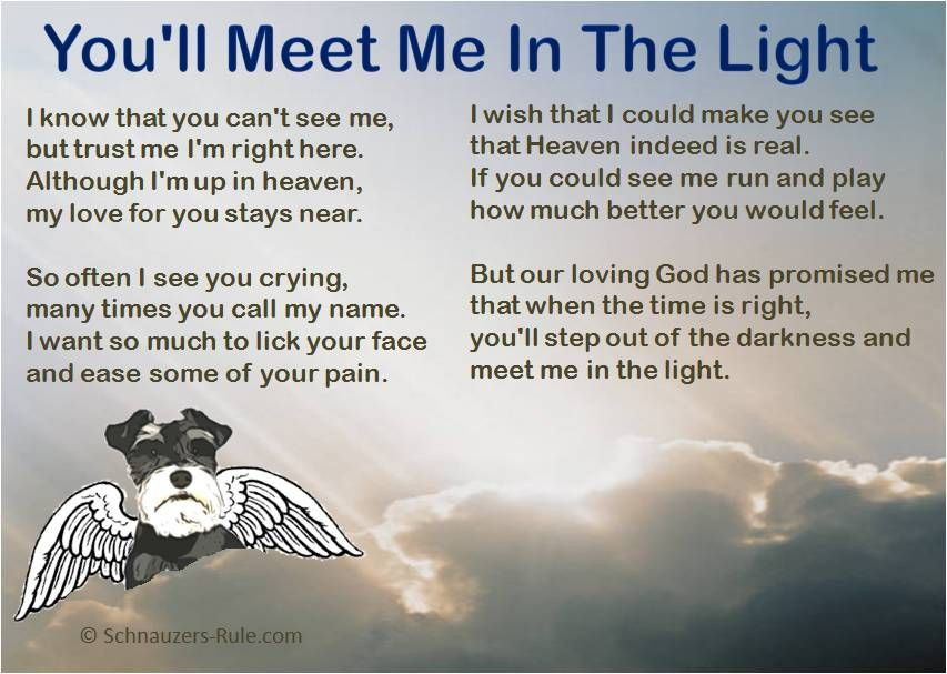 Inspirational Quotes About Losing A Pet
 Pet Loss Poem "You ll Meet Me In The Light"
