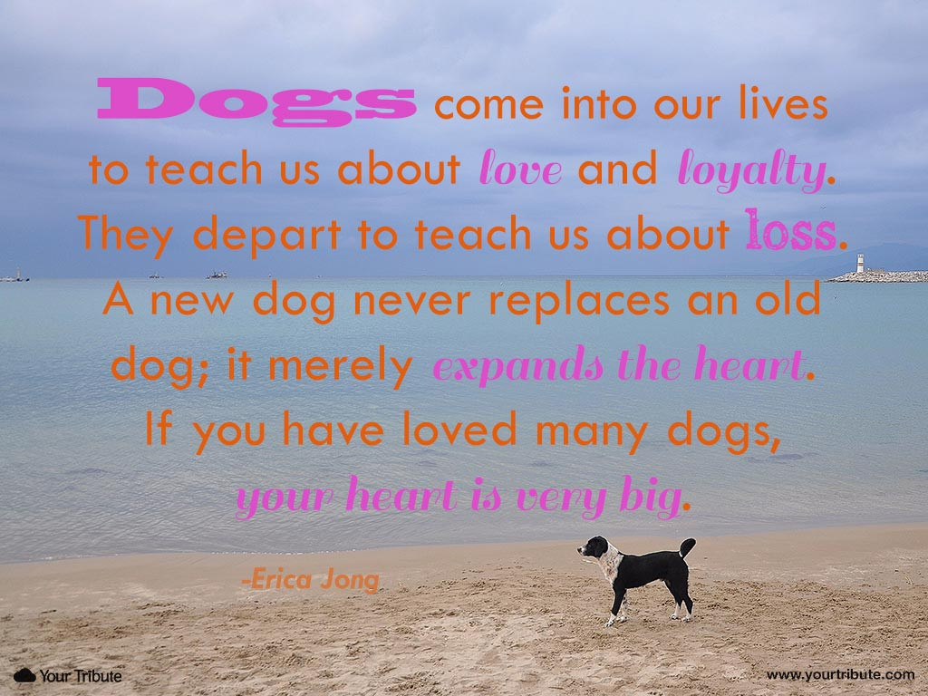 Inspirational Quotes About Losing A Pet
 Inspirational Quotes About Losing A Pet Great Quotes