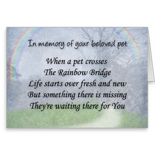 Inspirational Quotes About Losing A Pet
 Inspirational Quotes For Death Family Pet QuotesGram