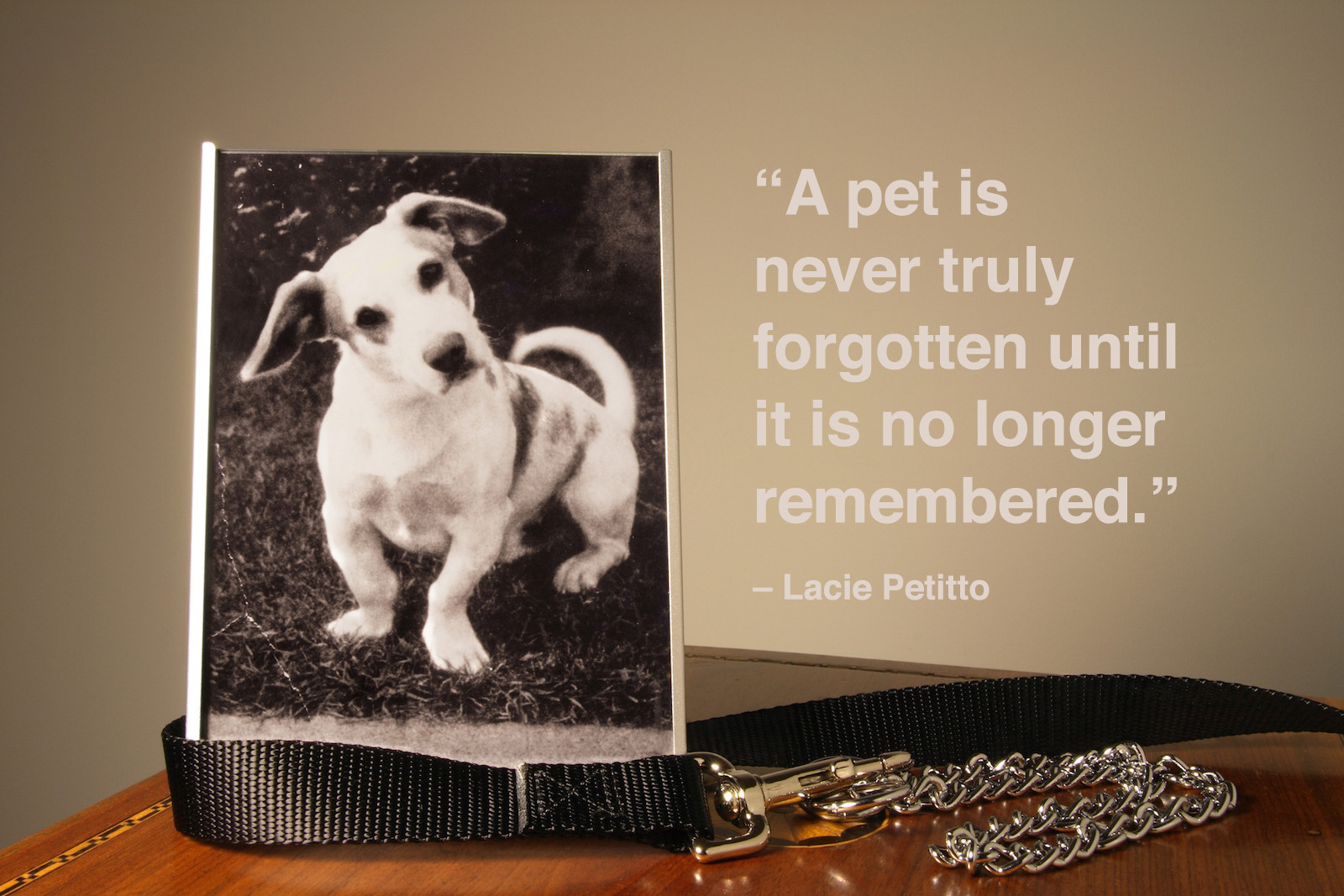 Inspirational Quotes About Losing A Pet
 80 Dog Quotes Captions and Messages