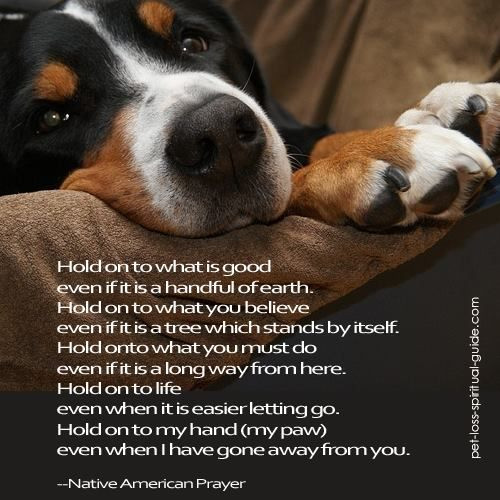 Inspirational Quotes About Losing A Pet
 Hold on ♥♥ Pawprints on my heart ♥