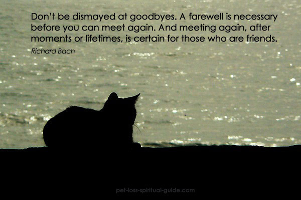 Inspirational Quotes About Losing A Pet
 POEMS “A cat” about loss of a cat