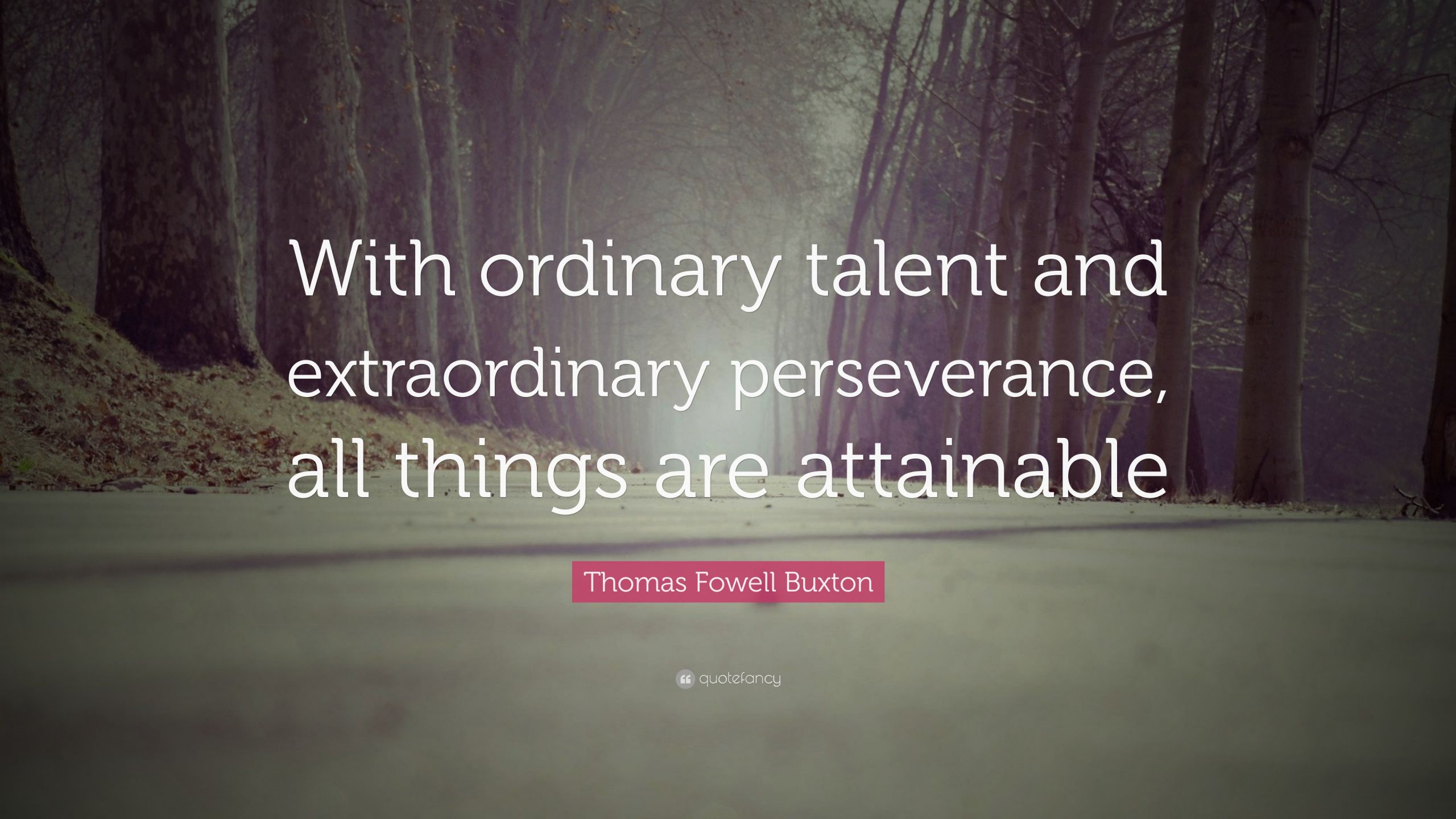 Inspirational Quotes About Perseverance
 Perseverance Quotes 58 wallpapers Quotefancy