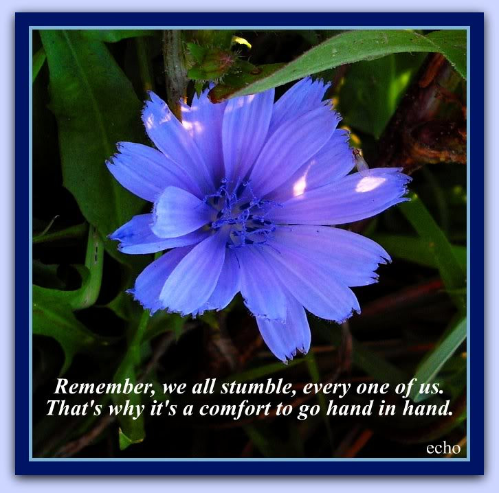 Inspirational Quotes Flowers
 Inspirational Quotes About Flowers QuotesGram