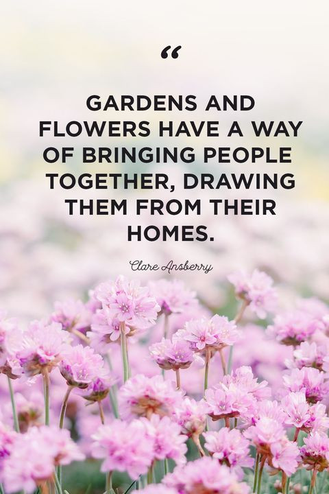 Inspirational Quotes Flowers
 30 Inspirational Flower Quotes Cute Flower Sayings About