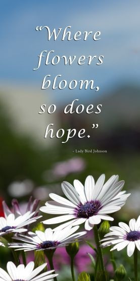 Inspirational Quotes Flowers
 Inspirational Quotes About Flowers Blooming QuotesGram