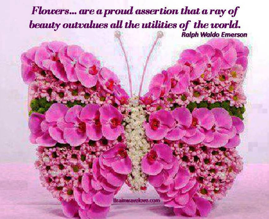 Inspirational Quotes Flowers
 Inspirational Quotes About Flowers Blooming QuotesGram