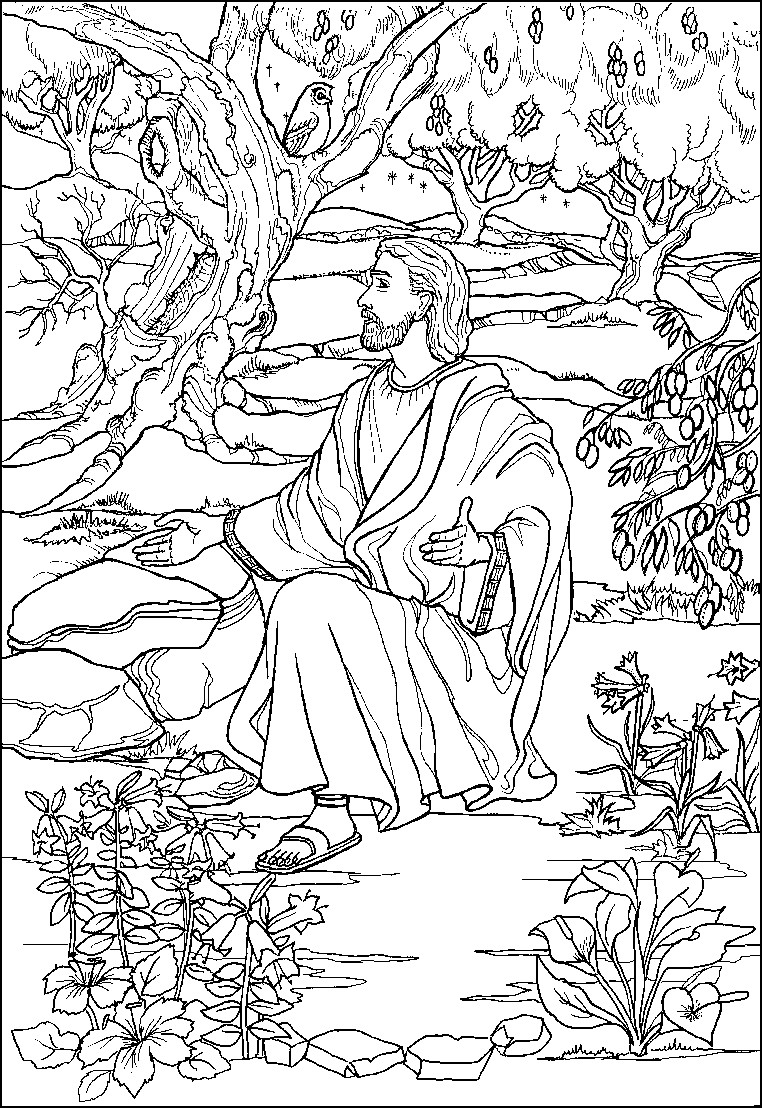 Jesus Coloring Pages For Adults
 Today with the Saints January 24 St Francis de Sales