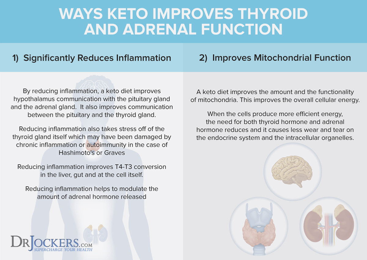 Keto Diet And Thyroid
 Top 5 Keto Myths that Most People Believe DrJockers