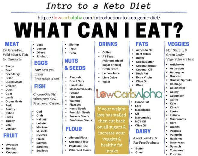 Keto Diet Basics
 Introduction to Ketogenic Diet A Simple Intro to Ketosis