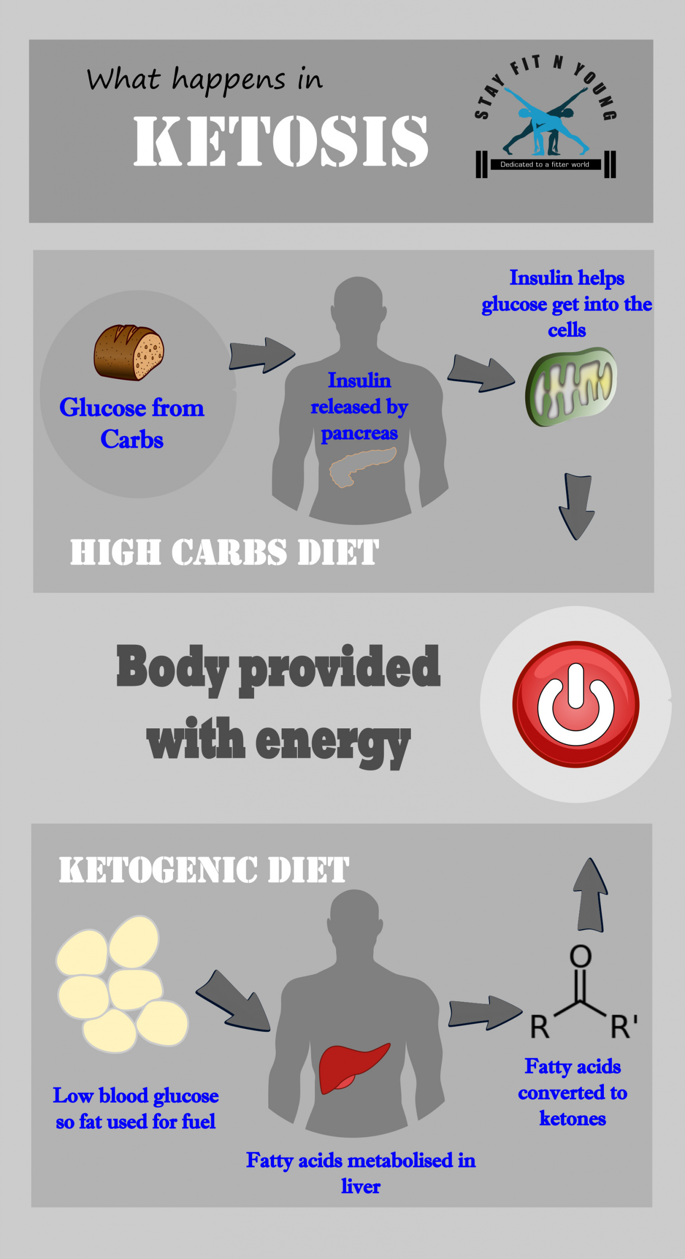 Keto Diet Downsides
 Pros and Cons of a Ketogenic Diet that you should know about