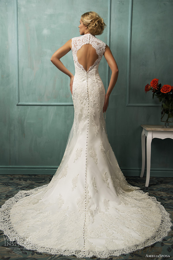 Keyhole Back Wedding Dress
 AmeliaSposa 2014 Wedding Dresses Wedding Inspirasi
