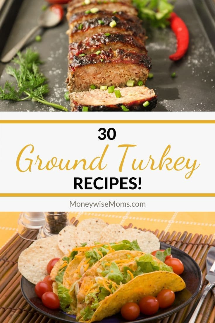 Kid Friendly Ground Turkey Recipes
 30 More Ground Turkey Recipes Moneywise Moms