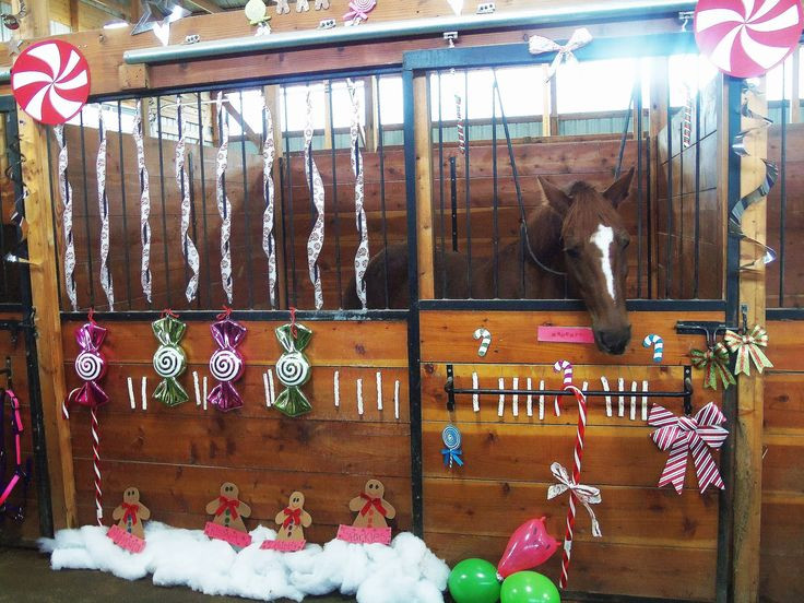 Kids Horse Decor
 8 Reasons Why Christmas Is The Worst According to Horses