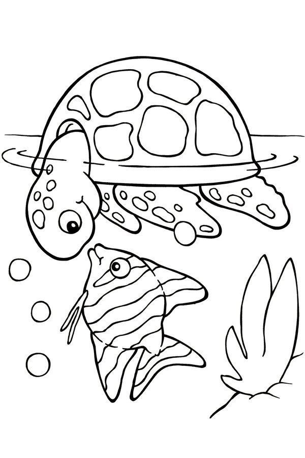 Kids On Line Coloring Pages
 Free Printable Turtle Coloring Pages For Kids Picture 4