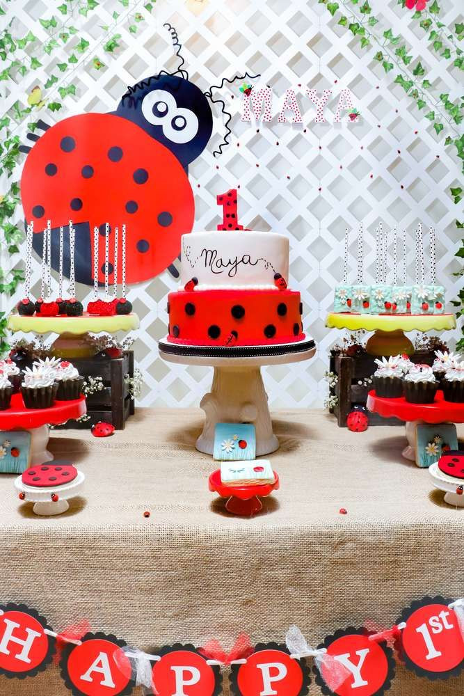 Ladybug 1st Birthday Decorations
 259 best images about Ladybug Party Ideas on Pinterest