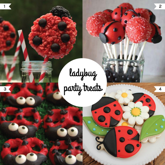 Ladybug 1st Birthday Decorations
 1st Birthday Ideas Ladybug Themed First Birthday Party