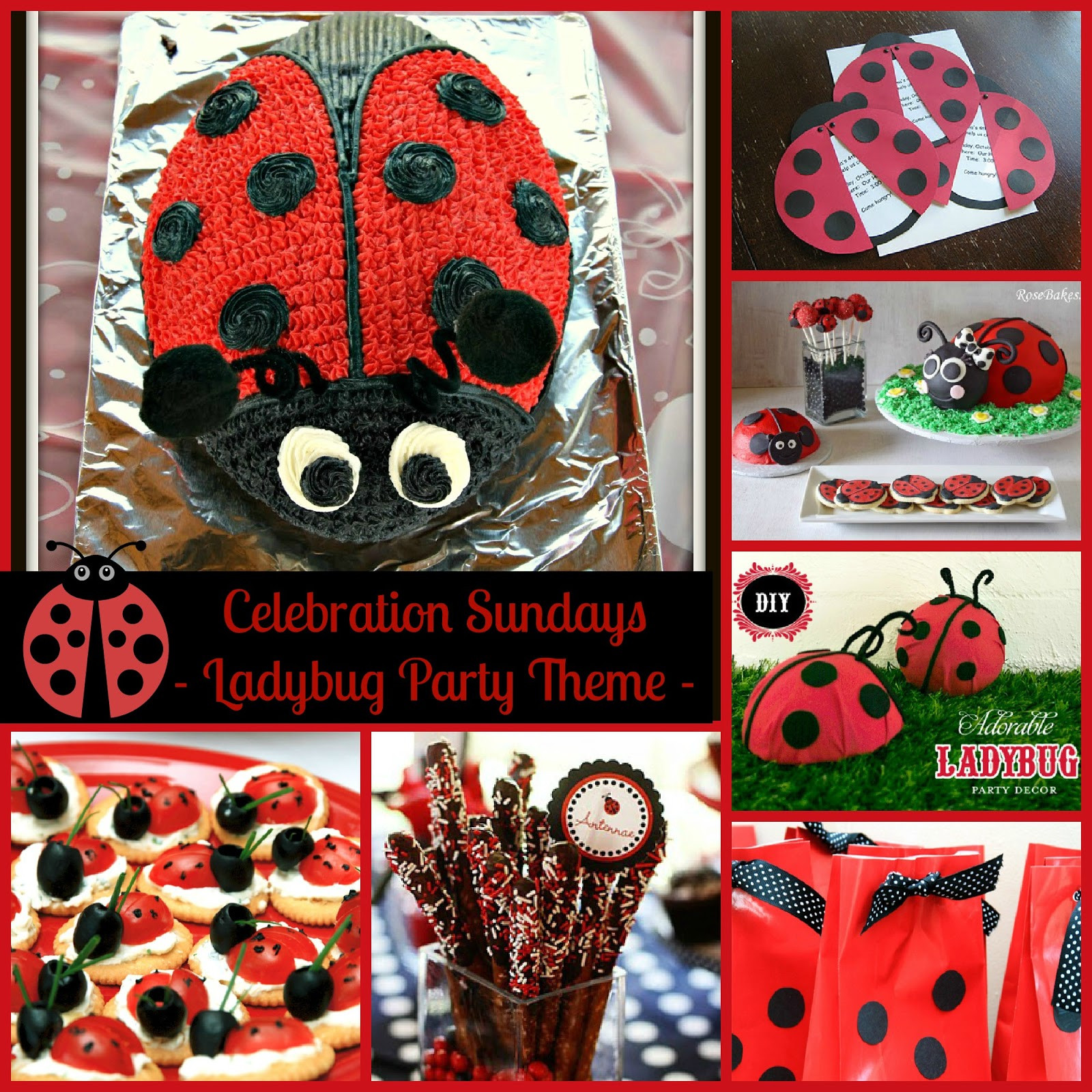 Ladybug 1st Birthday Decorations
 The Mandatory Mooch Celebration Sundays Ladybug Party Theme