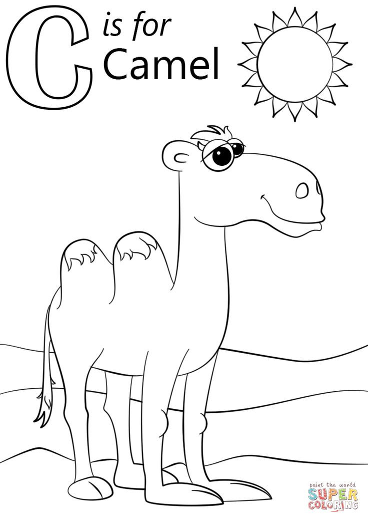 Letter C Coloring Pages For Toddlers
 Letter C is for Camel Super Coloring