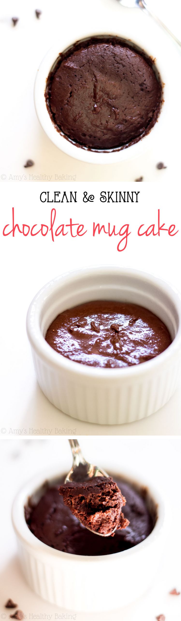 Low Calorie Mug Cake Recipes
 Single Serving Clean Chocolate Mug Cake Recipe Video