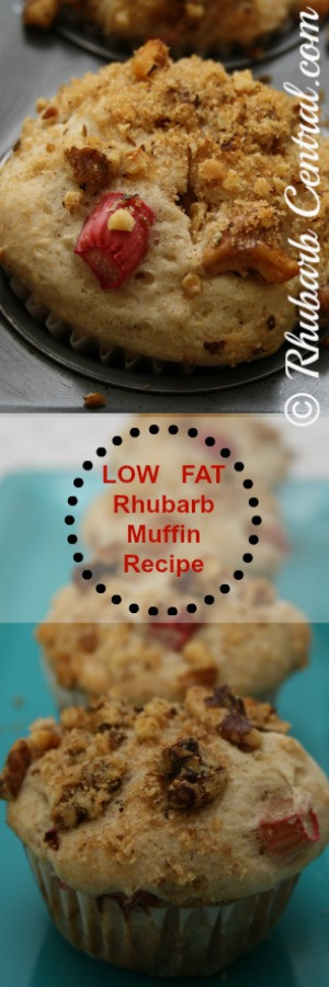Low Calorie Rhubarb Recipes
 Rhubarb Blog