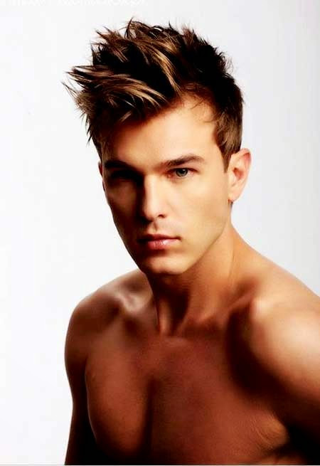 Male Spiky Hairstyle
 Spiky Hairstyles For Men 2014 Mens Hairstyles Womans