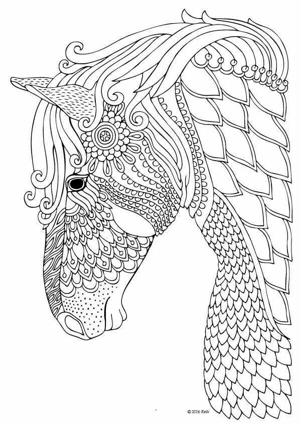 Mandala Coloring Pages For Boys
 Pin on Advance Color