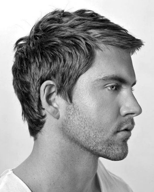 Mens Haircuts Styles
 40 Men s Haircuts For Straight Hair Masculine Hairstyle