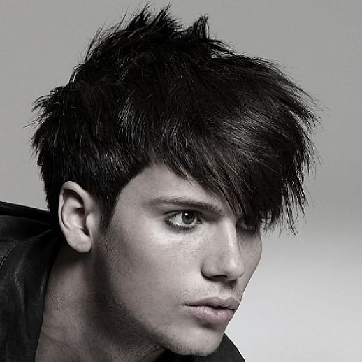 Mens Punk Hairstyles
 Easy Emo Hairstyles for Guys Emo Guys Hair Styles