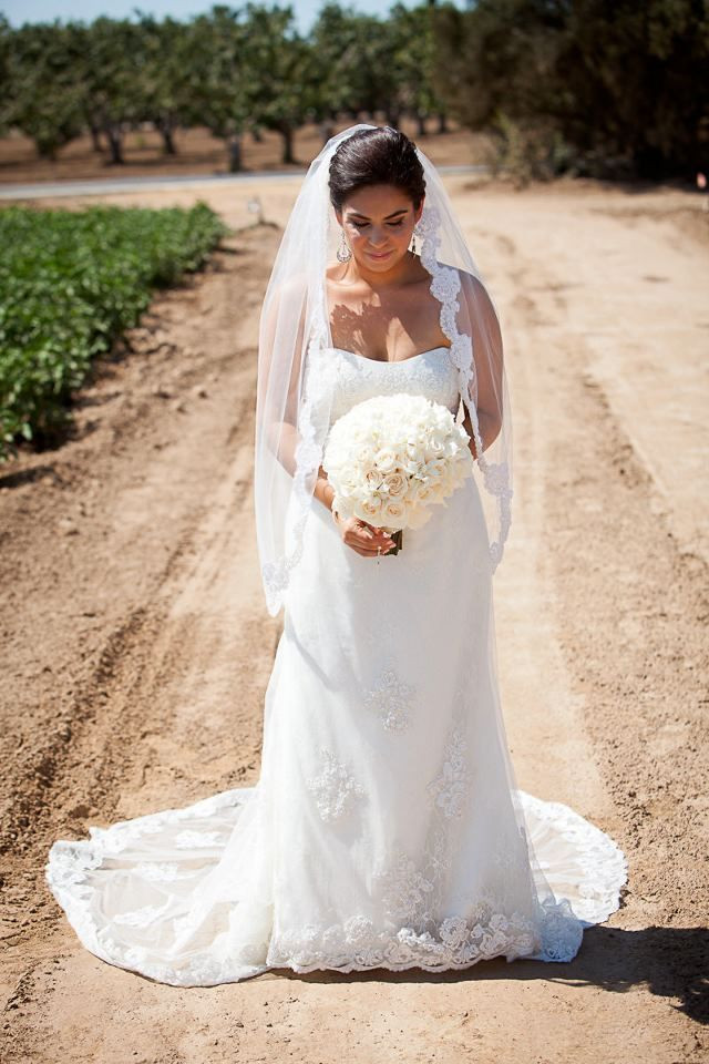 Mexican Wedding Veils
 Mexican Bride
