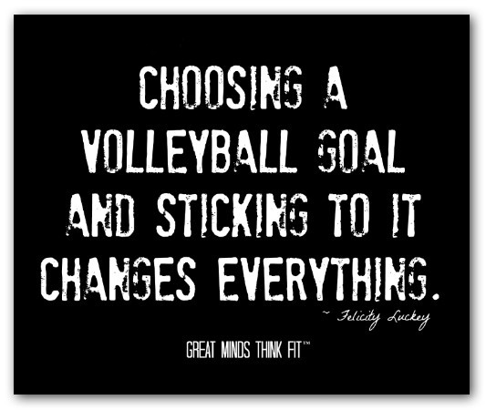 Motivational Volleyball Quotes
 Volleyball Quotes on Posters for Motivation