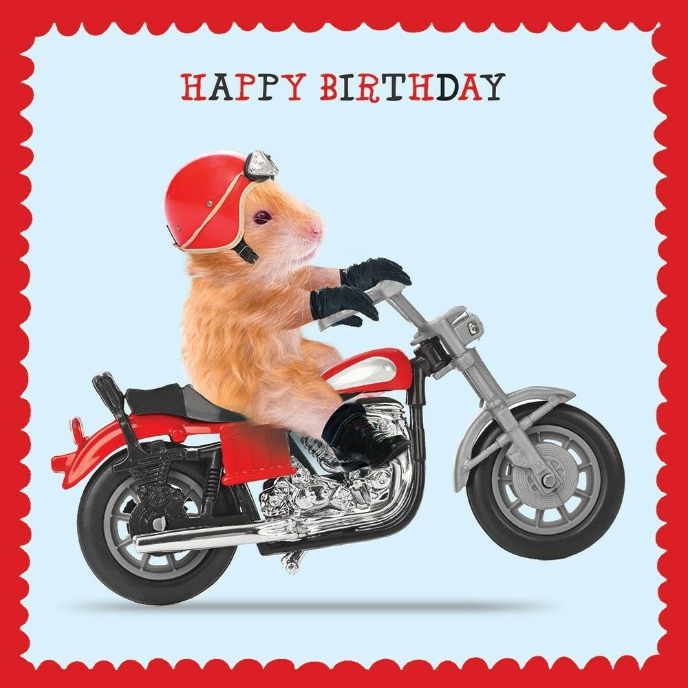 Motorcycle Birthday Cards
 Hamster & Motorbike Birthday Card Thunder Road Funny