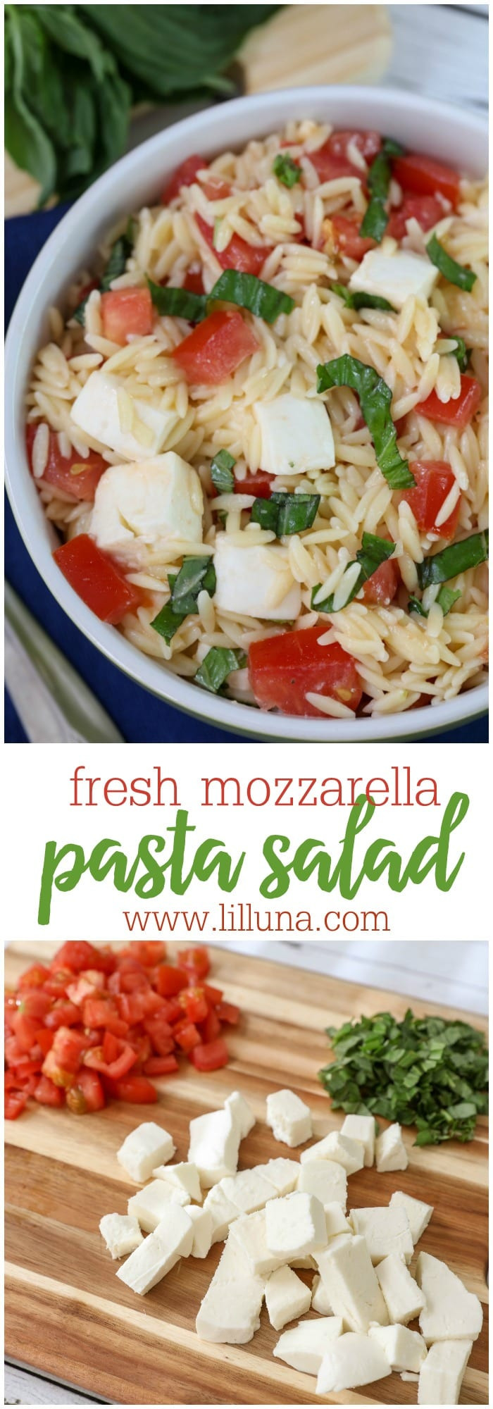 Mozzarella Pasta Salad
 Fresh Mozzarella Pasta Salad Lil Luna