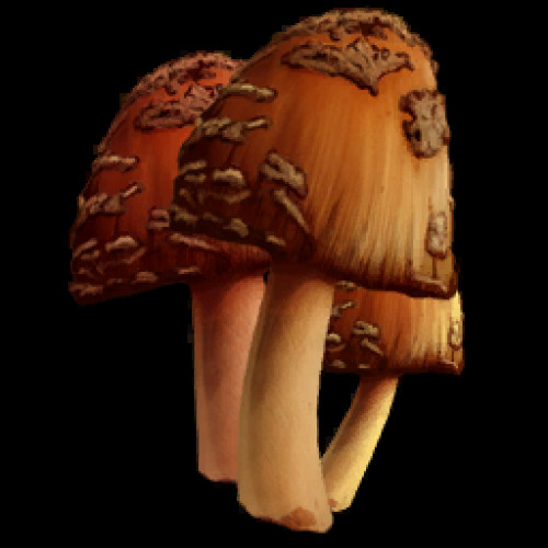 Mushroom Stew Ark
 Что приготовить из Моркови Семена Rockarrot Seed