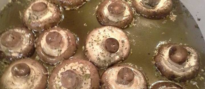 Mushroom Stew Ark
 Mushroom Broth – The mon Sense Cook