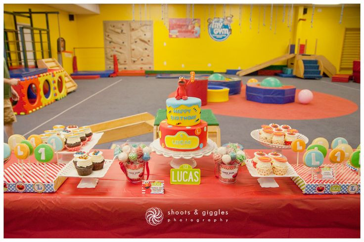 My Gym Birthday Party
 ©Shoots & Giggles Los Angeles Party grapher Encino
