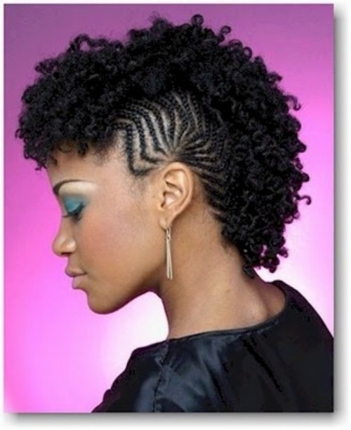 Natural Braided Hairstyles For Black Women
 Natural Hair Mohawk Hairstyles 2014