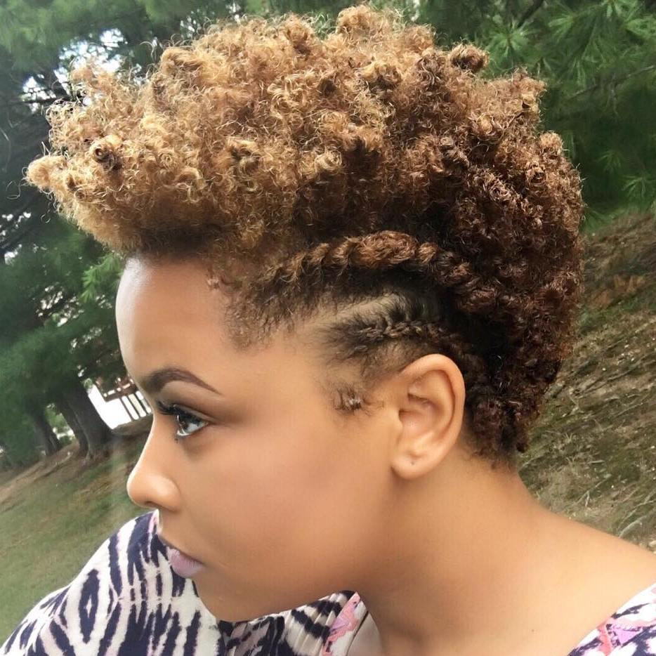 Natural Hair Hairstyles
 75 Most Inspiring Natural Hairstyles for Short Hair in 2020