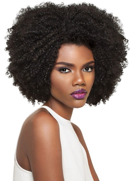 Natural Hairstyle Wigs
 7 Fierce 4C Natural Hair Wigs for Under $30
